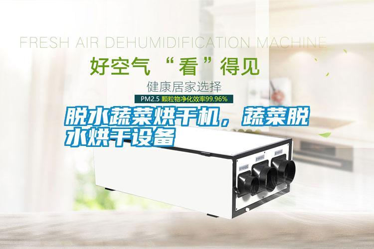 脫水蔬菜烘干機，蔬菜脫水烘干設(shè)備