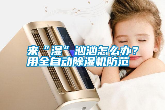 來“濕”洶洶怎么辦？用全自動除濕機(jī)防范
