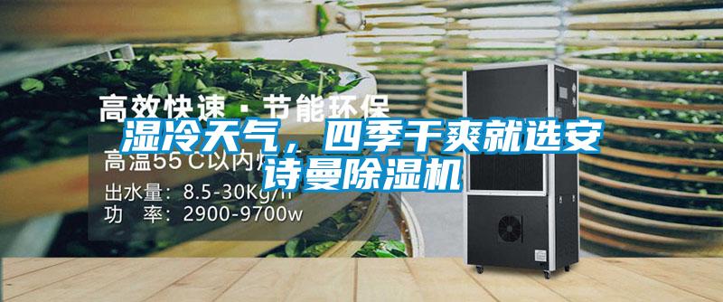 濕冷天氣，四季干爽就選安詩曼除濕機