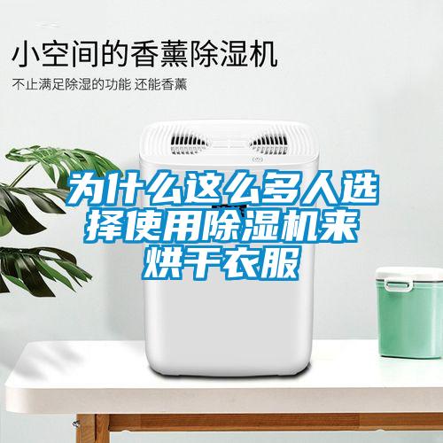 為什么這么多人選擇使用除濕機來烘干衣服
