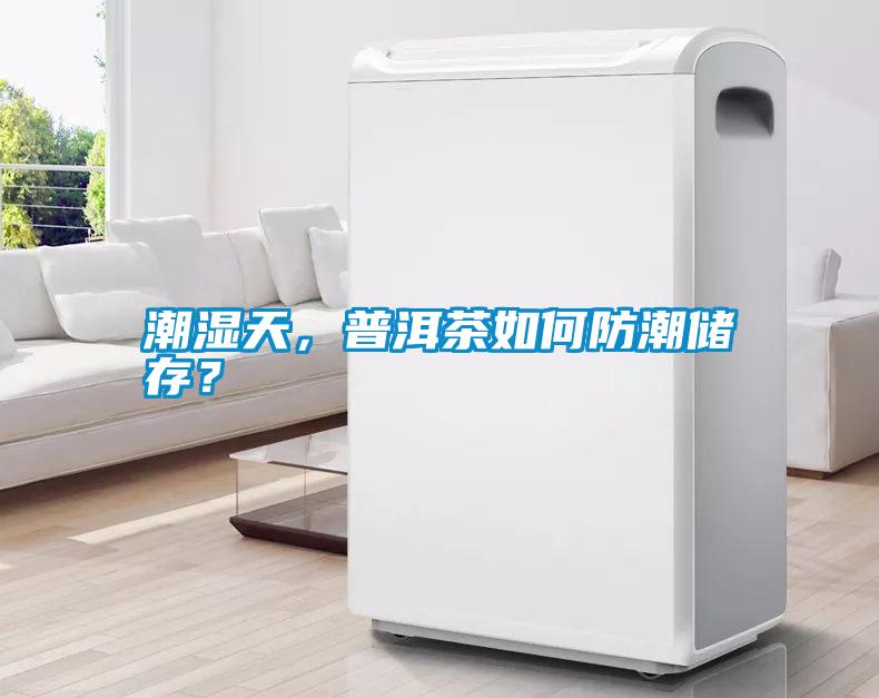 潮濕天，普洱茶如何防潮儲(chǔ)存？