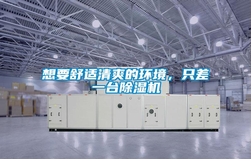 想要舒適清爽的環境，只差一臺除濕機