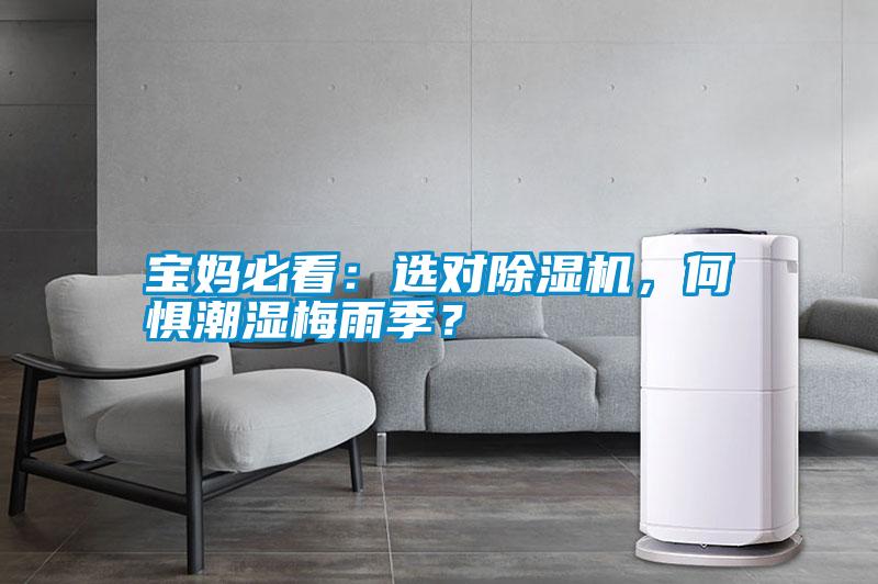 寶媽必看：選對(duì)除濕機(jī)，何懼潮濕梅雨季？