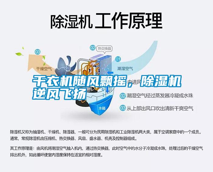 干衣機隨風飄搖，除濕機逆風飛揚