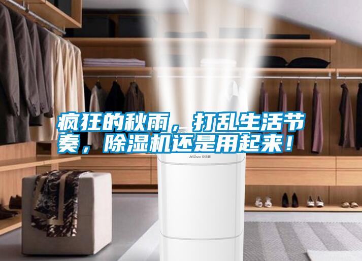 瘋狂的秋雨，打亂生活節奏，除濕機還是用起來！