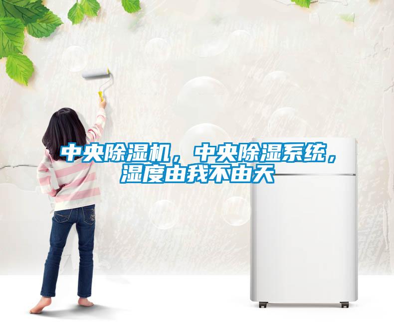 中央除濕機(jī)，中央除濕系統(tǒng)，濕度由我不由天