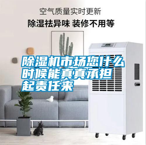 除濕機(jī)市場您什么時(shí)候能真真承擔(dān)起責(zé)任來