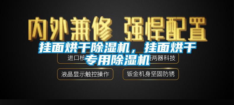 掛面烘干除濕機，掛面烘干專用除濕機