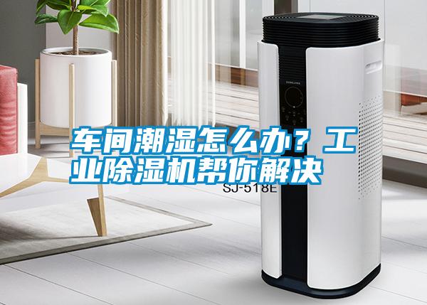 車間潮濕怎么辦？工業(yè)除濕機幫你解決