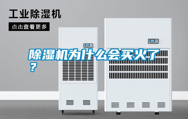 除濕機為什么會買火了？