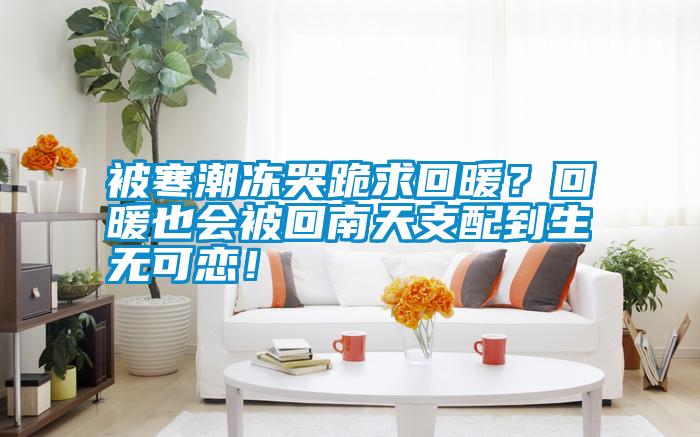 被寒潮凍哭跪求回暖？回暖也會(huì)被回南天支配到生無(wú)可戀！