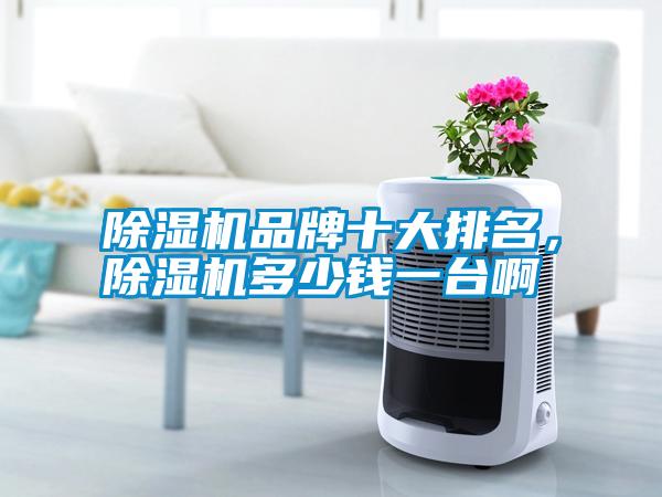 除濕機(jī)品牌十大排名，除濕機(jī)多少錢一臺(tái)啊
