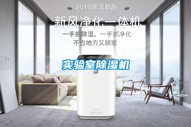 實(shí)驗(yàn)室除濕機(jī)