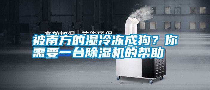 被南方的濕冷凍成狗？你需要一臺(tái)除濕機(jī)的幫助