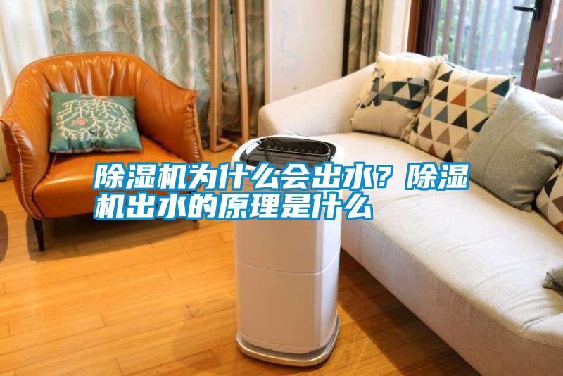 除濕機為什么會出水？除濕機出水的原理是什么
