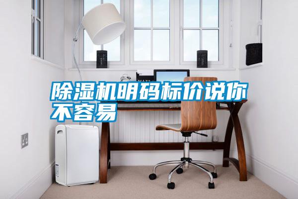 除濕機(jī)明碼標(biāo)價(jià)說(shuō)你不容易