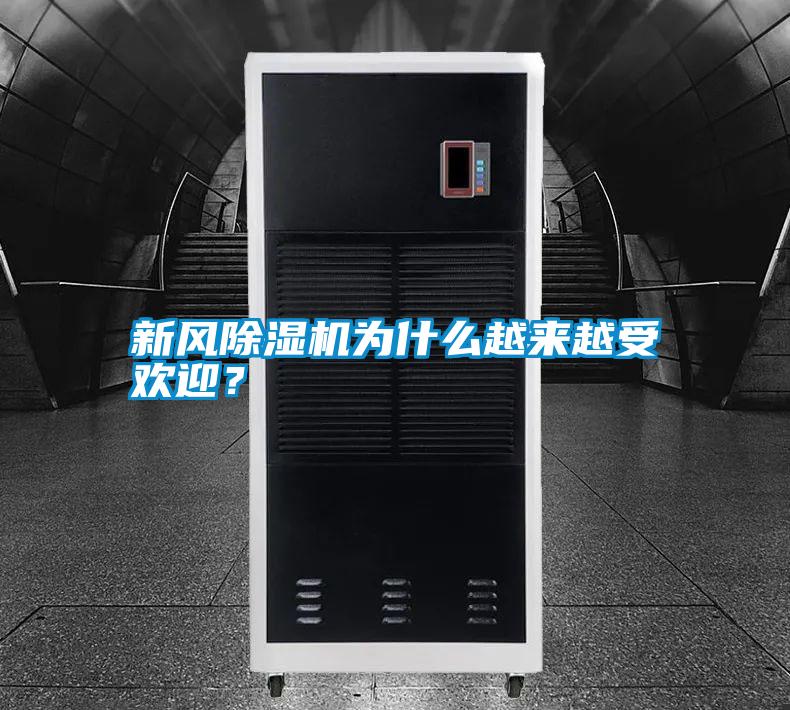 新風除濕機為什么越來越受歡迎？