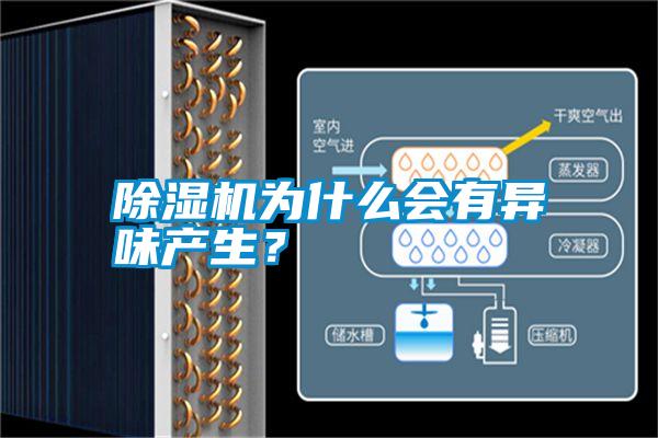 除濕機為什么會有異味產生？
