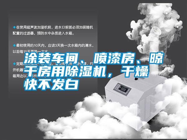 涂裝車間、噴漆房、晾干房用除濕機，干燥快不發白