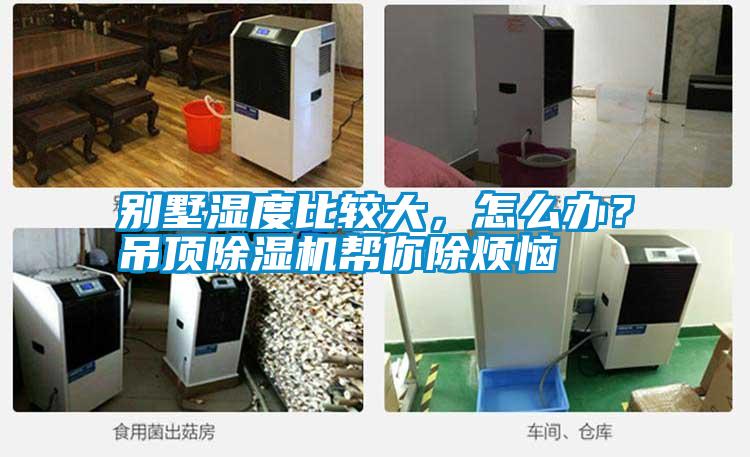 別墅濕度比較大，怎么辦？吊頂除濕機幫你除煩惱