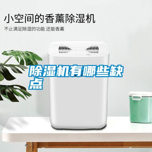 除濕機(jī)有哪些缺點(diǎn)