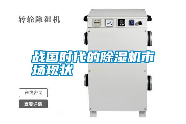 戰(zhàn)國(guó)時(shí)代的除濕機(jī)市場(chǎng)現(xiàn)狀