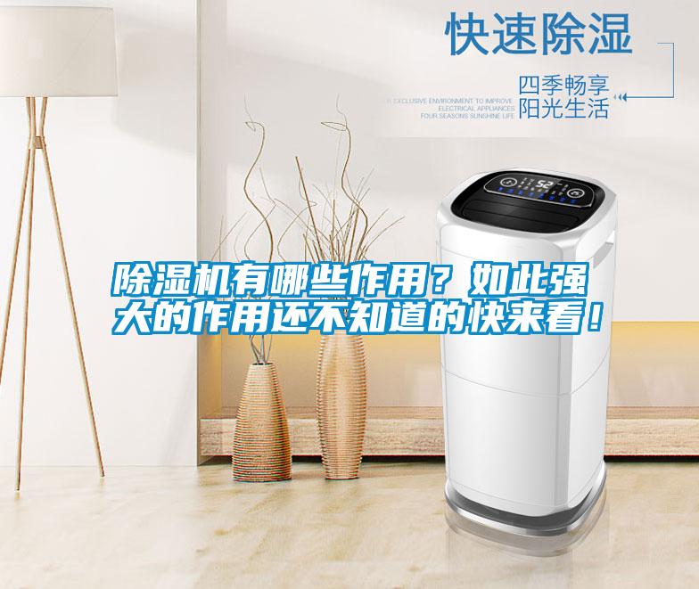 除濕機有哪些作用？如此強大的作用還不知道的快來看！