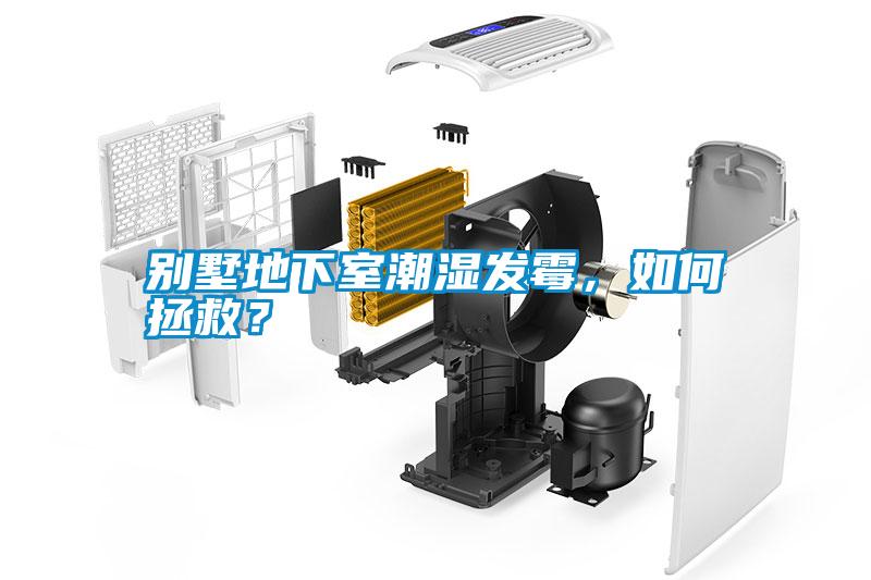 別墅地下室潮濕發(fā)霉，如何拯救？