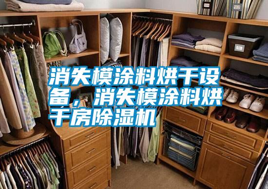 消失模涂料烘干設備，消失模涂料烘干房除濕機