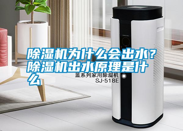 除濕機為什么會出水？除濕機出水原理是什么