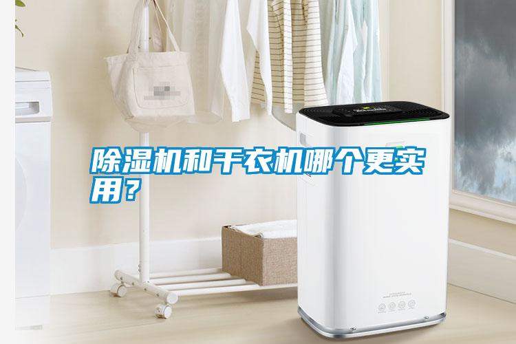除濕機和干衣機哪個更實用？