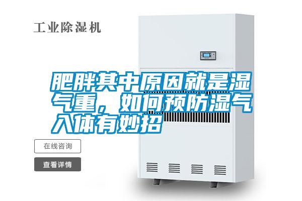 肥胖其中原因就是濕氣重，如何預(yù)防濕氣入體有妙招