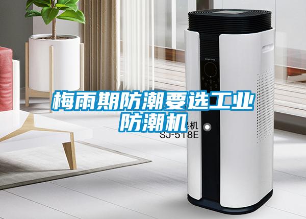 梅雨期防潮要選工業防潮機