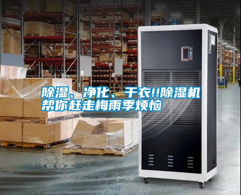 除濕、凈化、干衣!!除濕機(jī)幫你趕走梅雨季煩惱