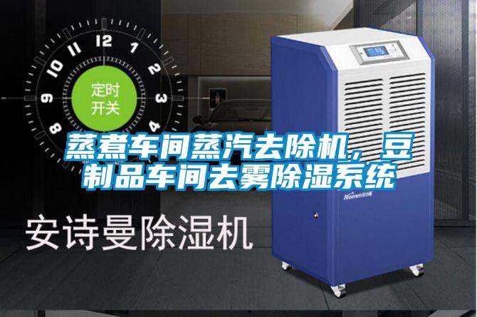 蒸煮車間蒸汽去除機(jī)，豆制品車間去霧除濕系統(tǒng)