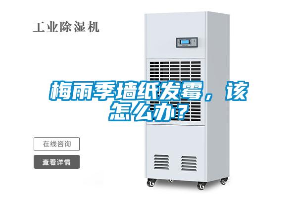 梅雨季墻紙發霉，該怎么辦？