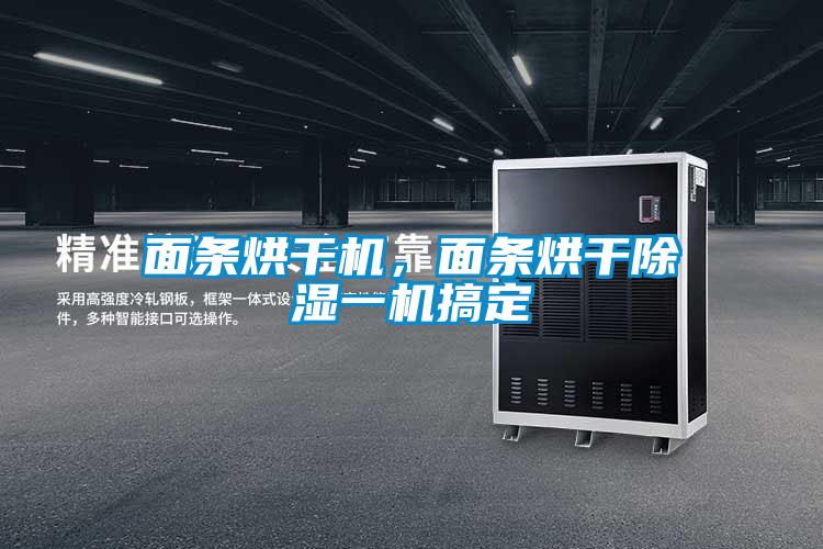 面條烘干機(jī)，面條烘干除濕一機(jī)搞定