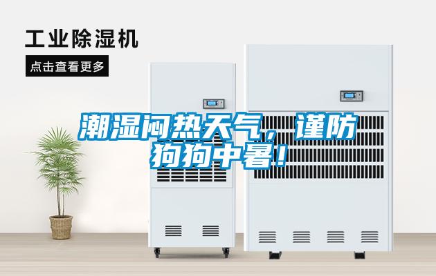 潮濕悶熱天氣，謹防狗狗中暑！