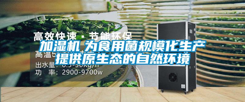 加濕機(jī)　為食用菌規(guī)模化生產(chǎn)提供原生態(tài)的自然環(huán)境