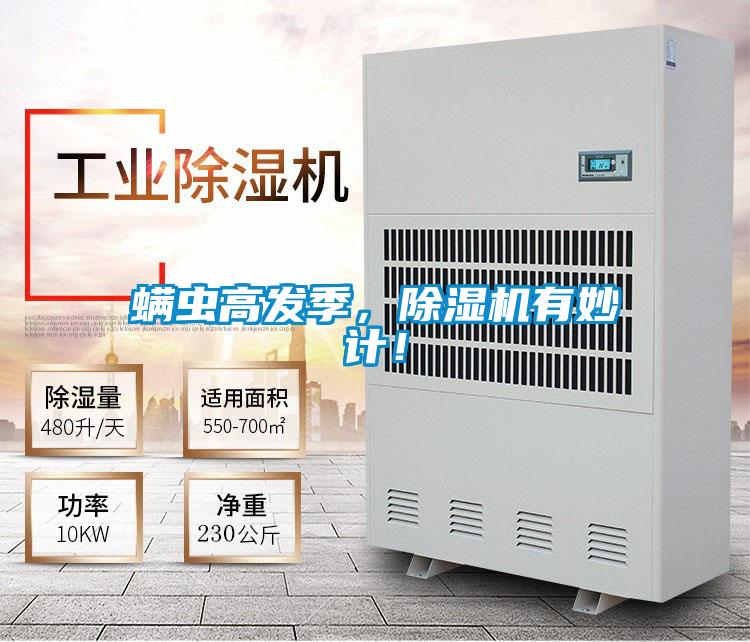 螨蟲高發(fā)季，除濕機有妙計！