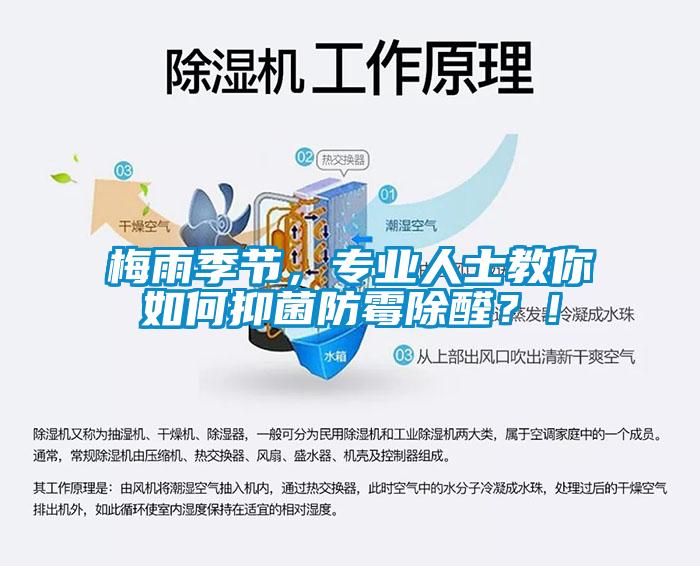 梅雨季節(jié)，專業(yè)人士教你如何抑菌防霉除醛？！