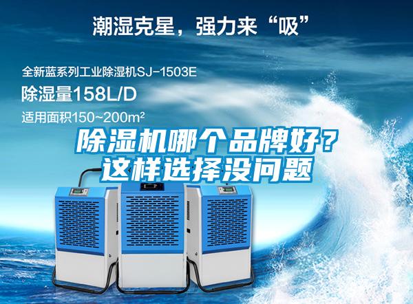 除濕機哪個品牌好？這樣選擇沒問題