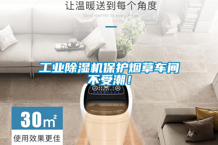 工業除濕機保護煙草車間不受潮！