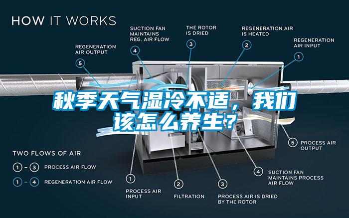 秋季天氣濕冷不適，我們該怎么養生？