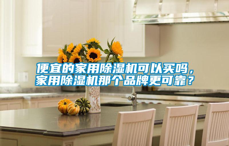 便宜的家用除濕機可以買嗎，家用除濕機那個品牌更可靠？