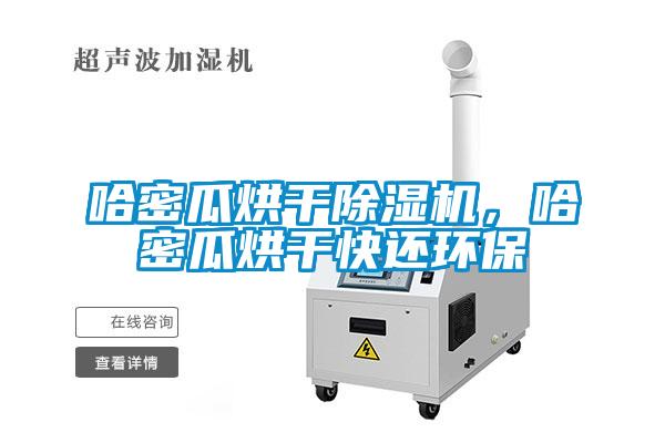 哈密瓜烘干除濕機，哈密瓜烘干快還環保