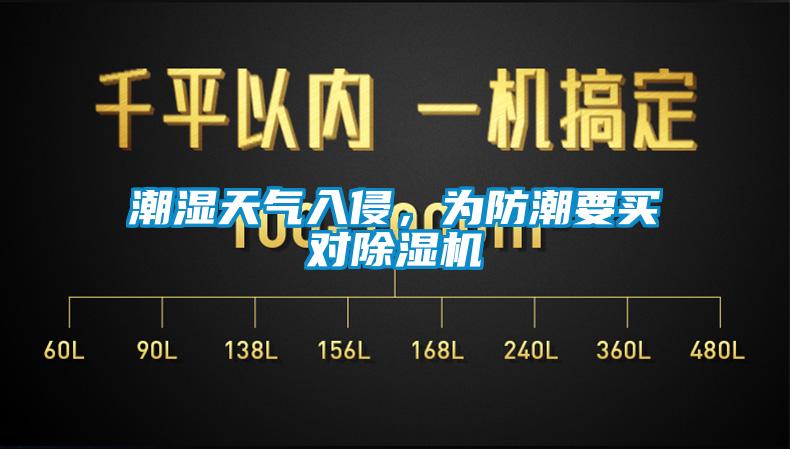 潮濕天氣入侵，為防潮要買對除濕機