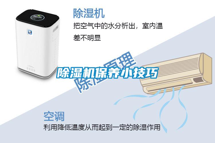 除濕機保養小技巧