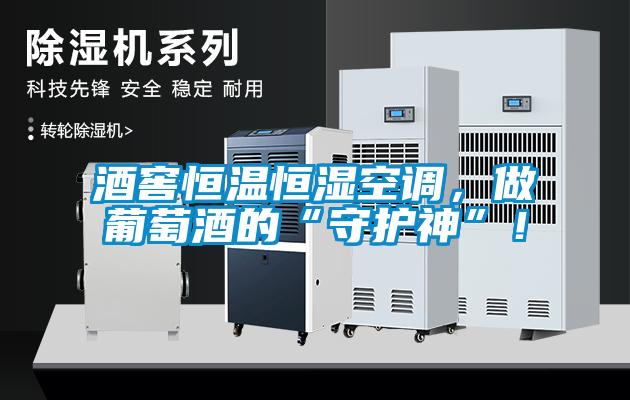 酒窖恒溫恒濕空調，做葡萄酒的“守護神”！