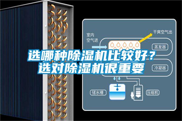 選哪種除濕機(jī)比較好？選對除濕機(jī)很重要